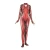 Import 3D Digital Print Movie Comics New Female Flash Cosplay Jumpsuit  Halloween Cosplay Costume from China