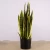 Import 50 cm Small Size Artificial Snake Plants Artificial Yellow Edge Plastic Plants For Home Ornament from China