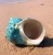 Import 8-13cm Natural Super Large Conch Shell New Sea Snail Craft Home Decoration Turbo cornulus Pot Ornaments Crafts Green screw Beach from China