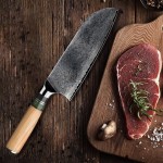 8 Inch Kitchen Chef Knife Ultra Sharp Damascus Steel Santoku Knife with Ebony Olive Wood Resin Handle