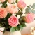 Import 90cm New Mixed Blooms and Buds Real Touch Moisturizing Rose bush, 3 Branches Realistic Round Rose for Wedding Home Decor from China