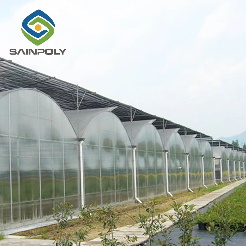 agricultural strawberry Heating System blackout film greenhouse
