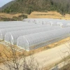 Agricultural Tunnel Greenhouses For Tomatoes