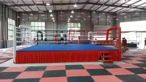 aiba standard factory price boxing ring for sale