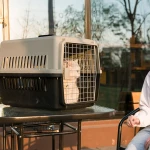 Airline Approved Easy to Carry Dog Cat Plastic Travel Box Pet Cages Portable Traveling Crate