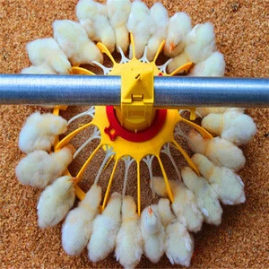 animal husbandry automatic feeders for poultry chickens