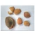 Import Apricot kernel Wholesale supplier 100% High quality cheap rate Bulk Quantity from USA