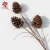 Import Artificial Plastic Plants Simulated dry Flowers with pinecone branch leaves for fall wall backdrop Christmas decoration from China