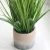 Import Artificial Potted Grass Plants Wholesale Price Customized Simulation Small Faux Reed Potted Artificial Plants from China