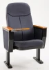 Auditorium Audience Church Meeting Conference Lecture Theater Hall Chair