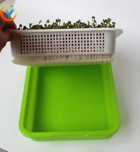 bean sprout growing machine plastic mung soy bean sprout tray board