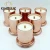 Import Bell Jar Glass Dome Cover Scented Soy Wax Candle For Decoration from China