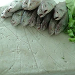 Best Price Frozen White Croaker Fish Surimi