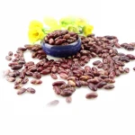 Best quality purple speckled kidney bean long shape cooking red kidney beans