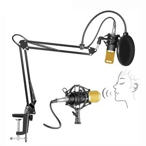 BM 800 Mic with Shock Mount Arm Scissor Stand Filter Studio Condenser Microphone