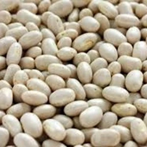 bulk beans for sale