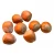 Import Bulk Hazelnuts In Shell &amp; Kernels, Organic Hazel Nuts Price from Ukraine