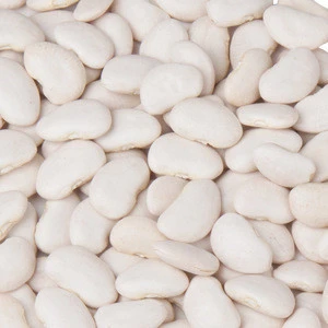 Butter Beans white kidney beans