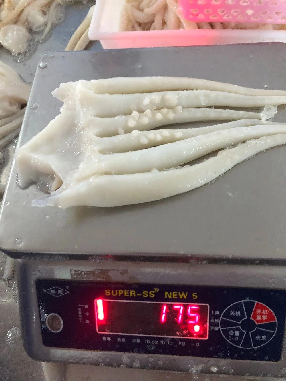 Buy Indian Ocean Squid Tentacle Frozen