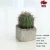 Import CAB0068 Factory Direct Bonsai Artificial Cactus Plants from China