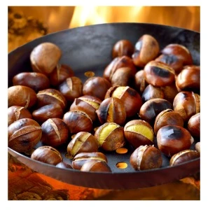 Chestnuts Wholesale Seller Best quality Bulk Quantity Wholesale rate
