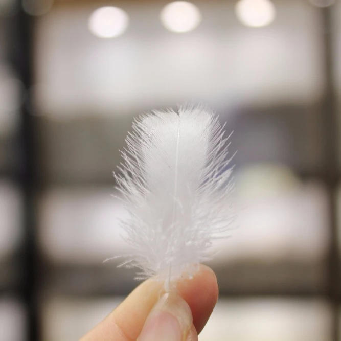 China Made Wholesale High Quality Cheap 100% Washed Goose Feather Down Natural White Goose Feather
