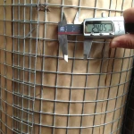 China sales galvanized welded iron wire mesh fence bird cage
