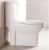 Import china sanitary ware one piece toilet from China