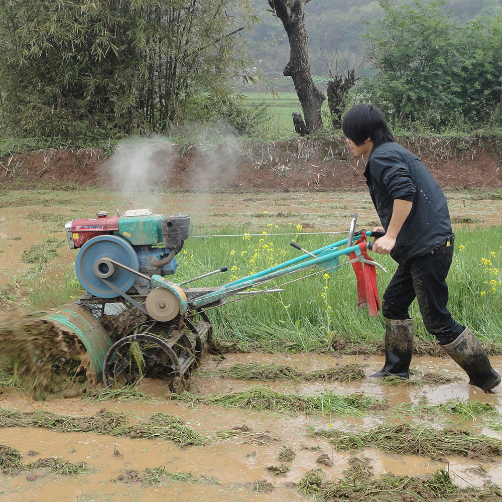 Mechanical Rice Weeding Buy China Weeding Machine For Rice Cultivation Farm Machine Cultivator ...