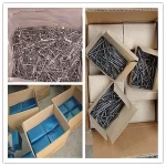 Chinese factory Polished nail Common nail Iron nail