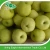 Import Chinese fresh sweet fengshui pear in competitive price from China