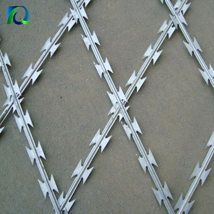 Chinese manufacturer long life security BTO-10 hot dipped galvanized razor wire