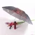 Import Chinese umbrellas wholesale Custom windproof Print OEM bottle Umbrella With Logo from China