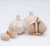 Import Chinese vegetable seeds garlic supplier in Jining China from China