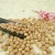 Import Chinese white yellow Kabuli chickpeas chick pea beans for sale from China