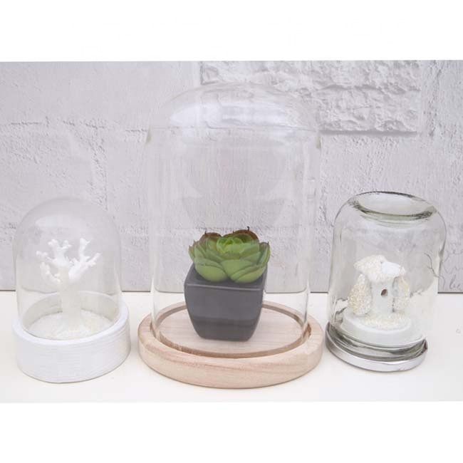 Buy Clear Glass Dome Display Case Oval Cloche With Wood Base Dia 5 Inch ...