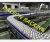 Import conveyer plateau,convoyeur plateau,plastic slat modular conveyor chain system from China