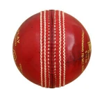 Cricket Ball 