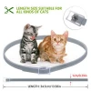 Custom 8 Month Protection Pet Anti Eliminating Flea And Tick Cat Collar For Cats