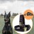 Import Custom dog collar Pet training collar cowhide Leash dog pet collar from China