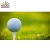 Import Custom  Golf Accessories foam Golf ball and Plastic Golf tee from China