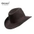Import Custom Men Hats Wool Felt Cowboy Hat Wholesale Lemmy Cowboy Hat from China