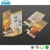 Custom printing a4 marketing flyer/booklet/brochure