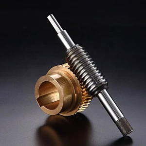 Customized high precision worm gear and worm  with adjustable clearance and double lead