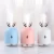 Import Cute Conditioning Mist Appliance, Essential Oil Air Aroma Diffuser Air Humidifier/ from China