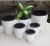 Import Deepbang Hot Sell White Small Large Size Self Watering Automatic Water Absorbent Planting Pots Lazy Flower Plastics Resin Pots from China