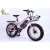 DIKESEN electric bike adult colorful electric bike nice design electric bicycle for  girls