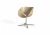 Import Dining Room Chairs Home Furniture Design Wooden Legs SIDE DESIGN SHELL CHAIR armchair from China