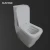 Import Double Flushing Luxury Ceramic Sanitary Toilet Commode Smart Toilet from China
