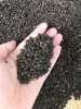 Dried Black Pepper 5mm High Quality and Cheap Price from Vietnam